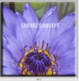 /album/photo-gallery-canvas-uri/decoratiuni-de-perete-canvas-lc-0011-jpg/